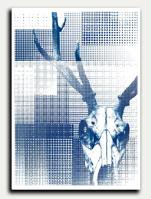 DEER// "Cyanotype Afterlife" Greeting Card