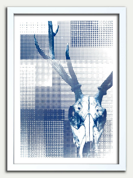 DEER// "Cyanotype Afterlife" Fine Art Print