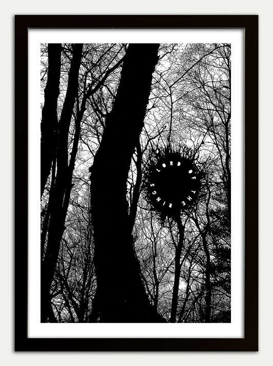 Lord of the Rings "The Old Forest" Fine art Print