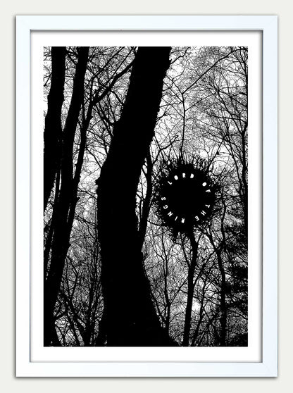 Lord of the Rings "The Old Forest" Fine art Print