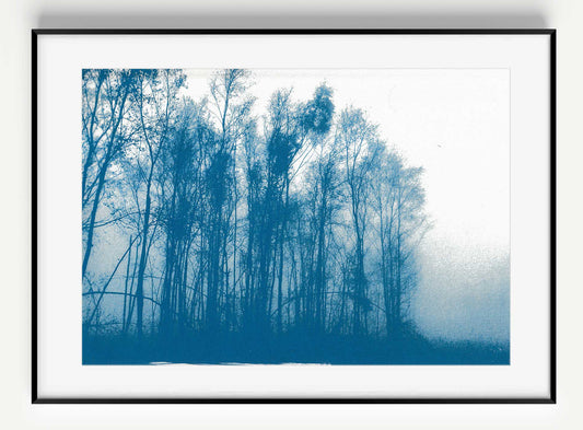 War of the Worlds// "On Horsell Common" Original Cyanotype