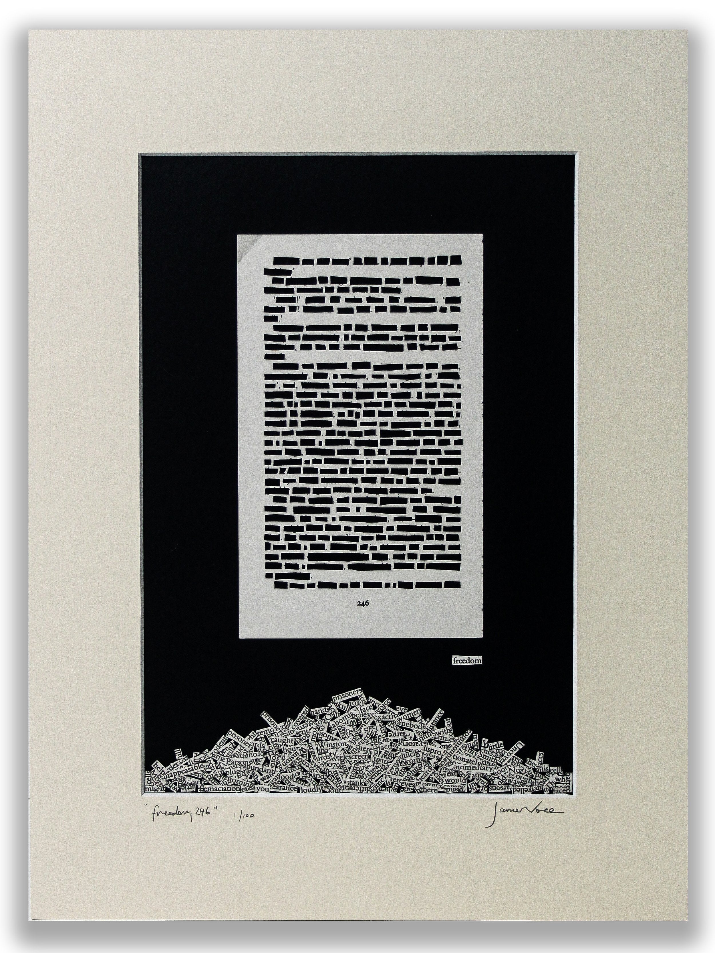 1984 "Freedom 246" | Single Paper Cut | Limied Edition 1 of 1 - James Voce // artist