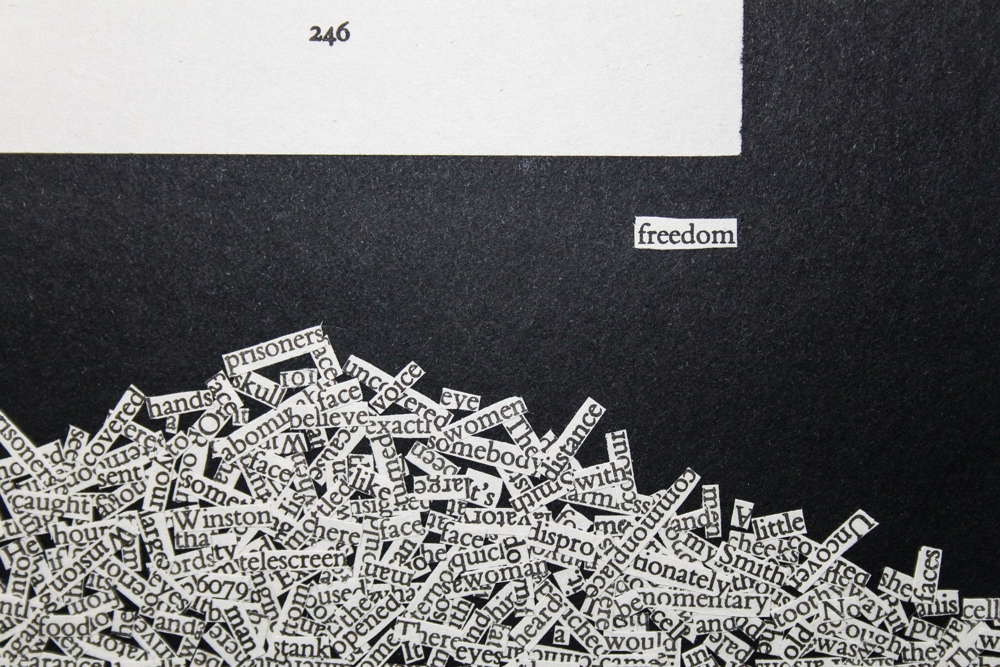 1984 "Freedom 246" | Single Paper Cut | Limied Edition 1 of 1 - James Voce // artist