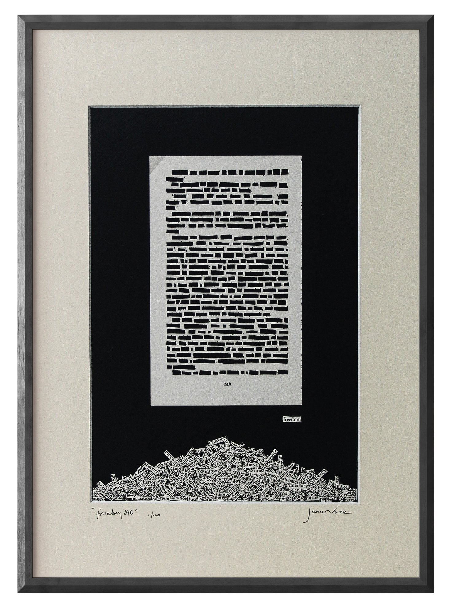 1984 "Freedom 246" | Single Paper Cut | Limied Edition 1 of 1 - James Voce // artist