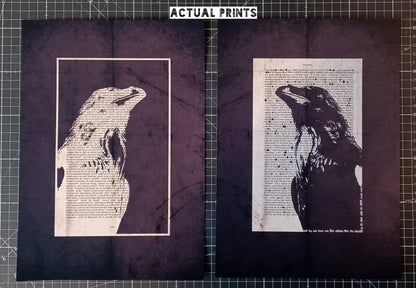 A4 - The Raven// "Black Raven 1845" Double Proof Prints (003)