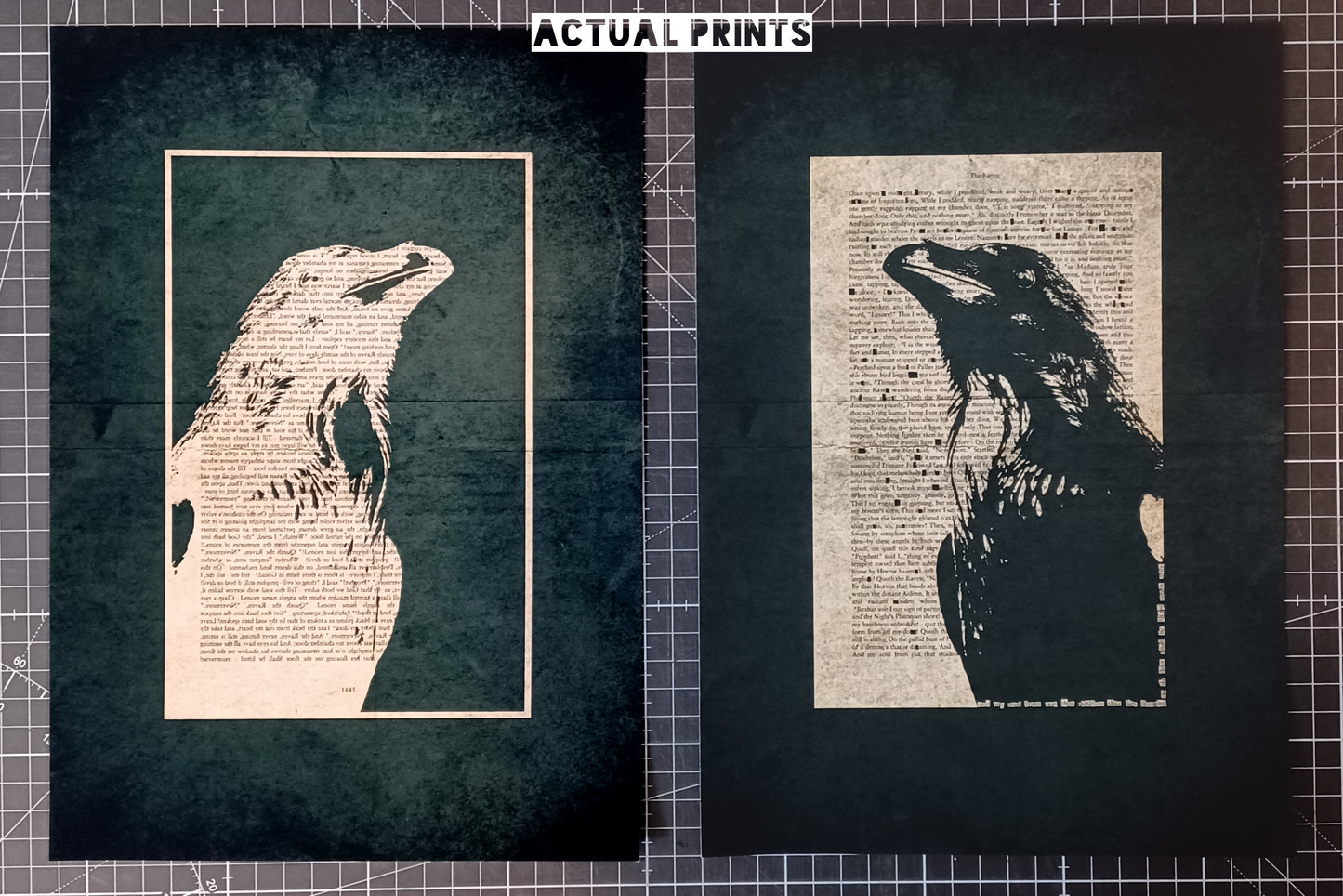 A4 - The Raven// "Black Raven 1845" Double Proof Prints (004)