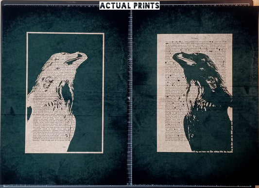 A3 - The Raven// "Black Raven 1845" Double Proof (010)