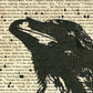 A4 - The Raven// "Black Raven 1845" Double Proof Prints (003)