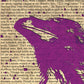 The Raven// "Purple Raven 1845" Limited Edition