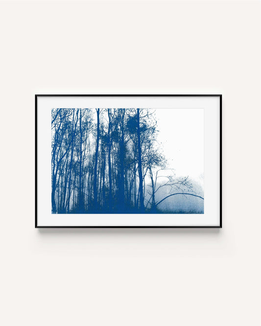 War of the Worlds// "Before the Tripods" original cyanotypes blue