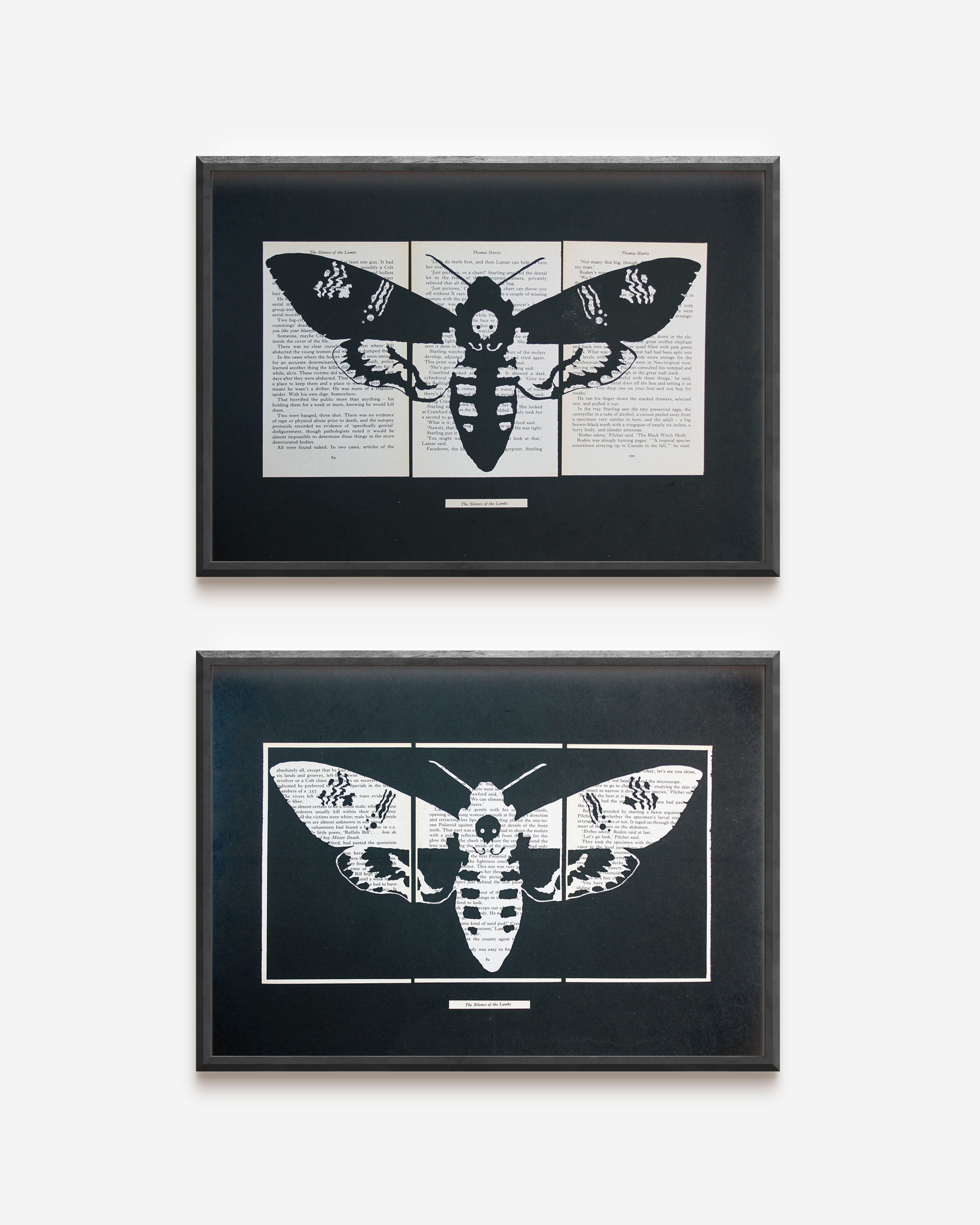 Silence of the Lambs// Death Head Moth