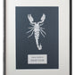 Fight Club "Scorpion 96" | Double Paper Cut | Limited Edition 1 of 1 - James Voce // artist