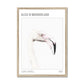 Flamingo "Alice in Wonderland" Framed Print - James Voce // artist