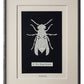 The Wasp Factory "WASP 122 Part 2" | Single Paper Cut | Limited Edition 1 of 1 - James Voce // artist