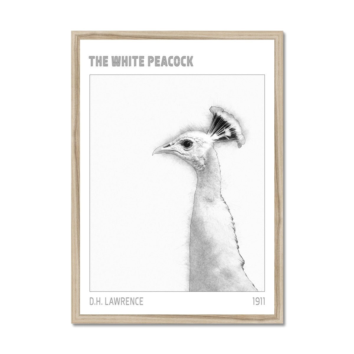 White Peacock "D.H. Lawrence" Framed Print - James Voce // artist