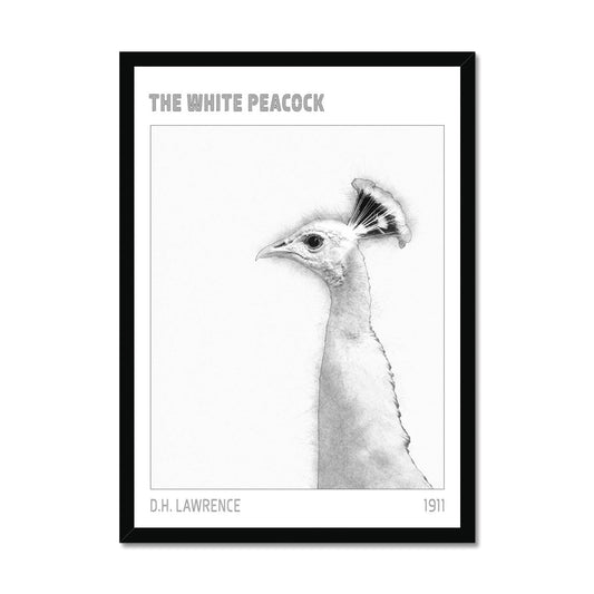 White Peacock "D.H. Lawrence" Framed Print - James Voce // artist